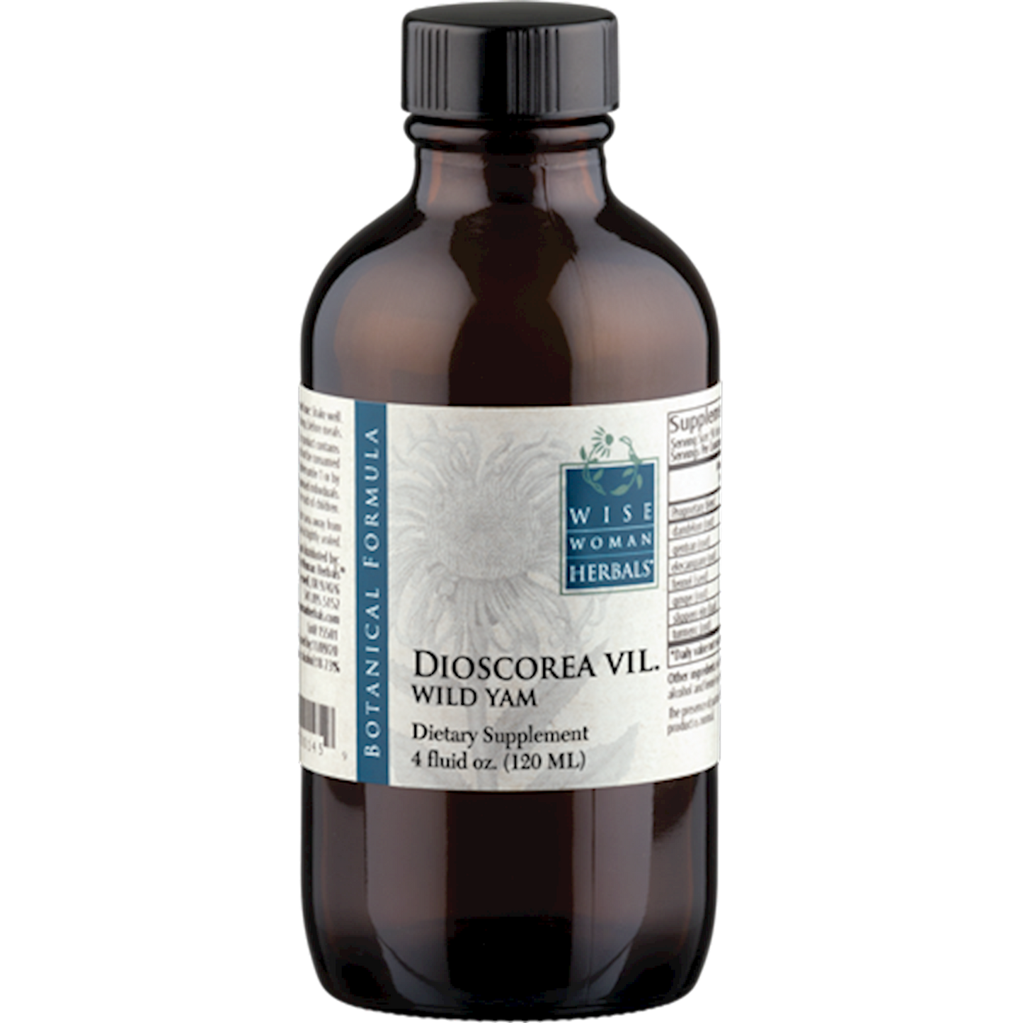 Dioscorea/wild yam