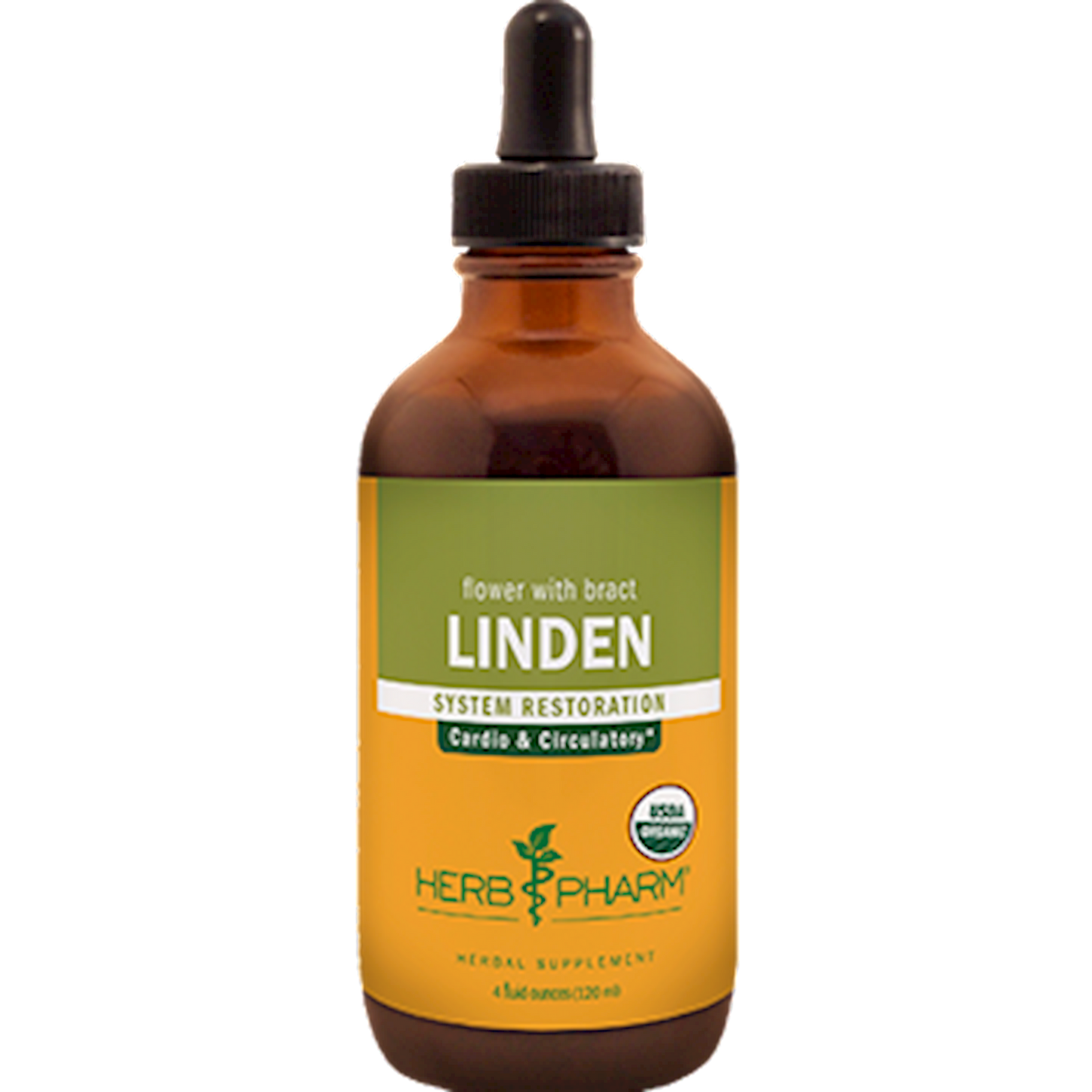 Linden