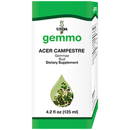 Acer Campestre