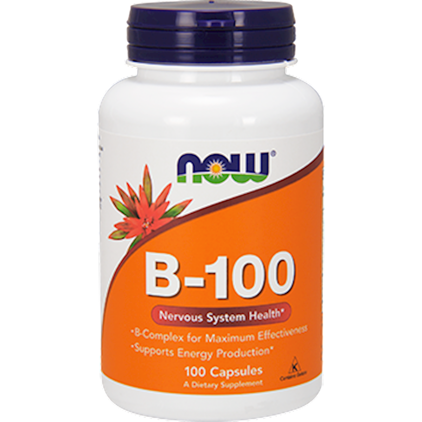 B-100