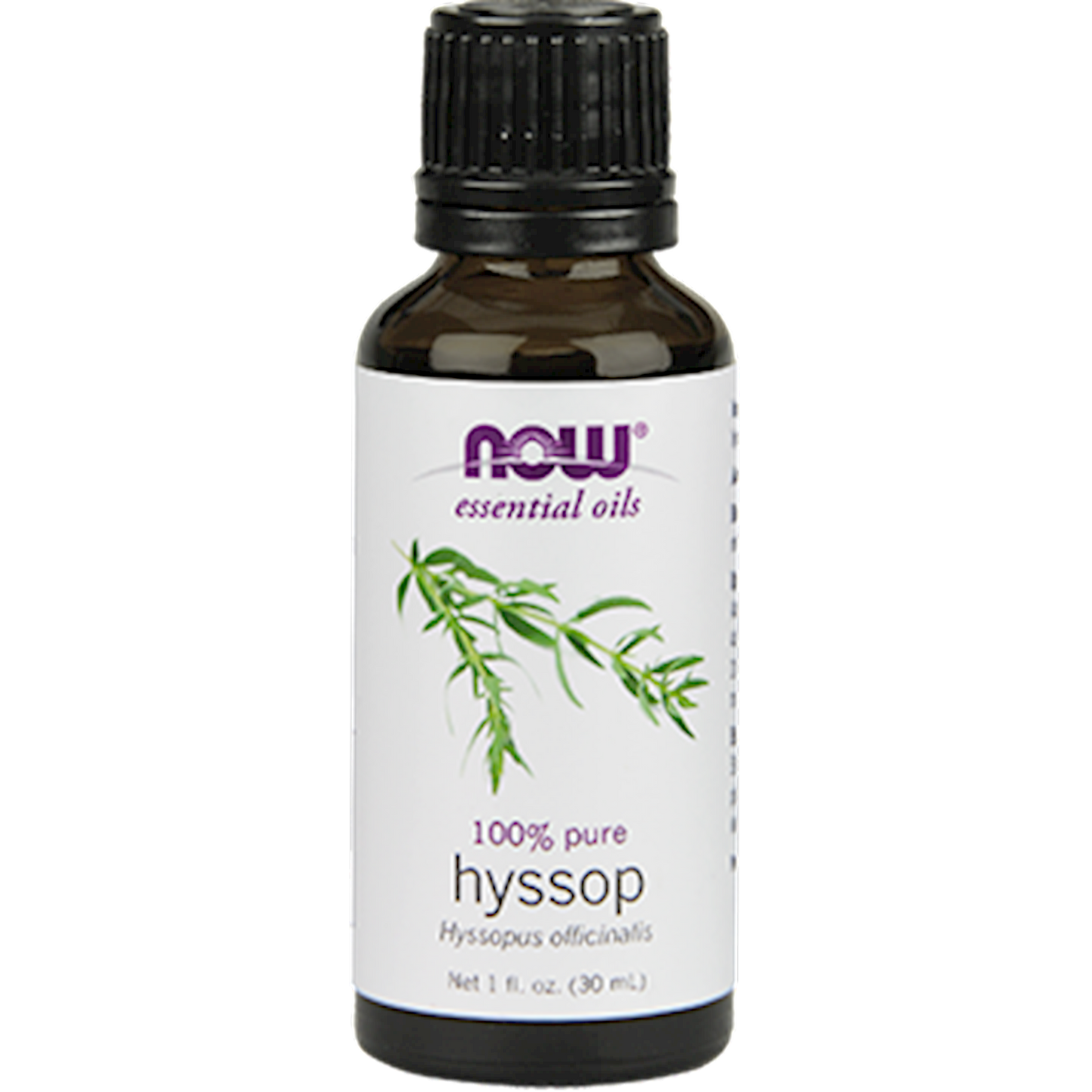 Hyssop Oil