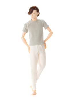 Petworks One-Sixth Boys Encyclopedia B2109 Japan 9 Finished Doll
