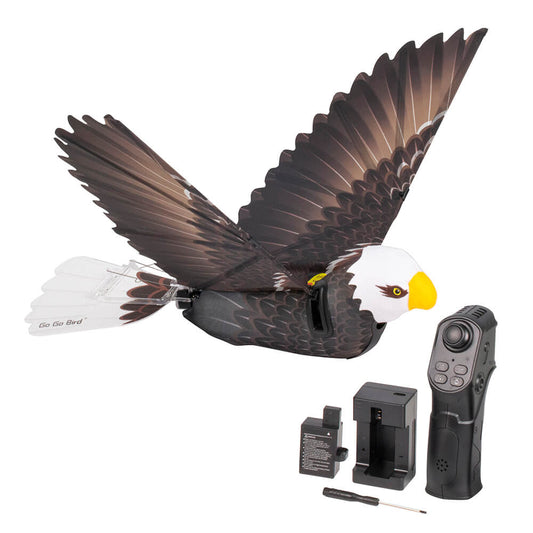 Go Go Bird Eagle