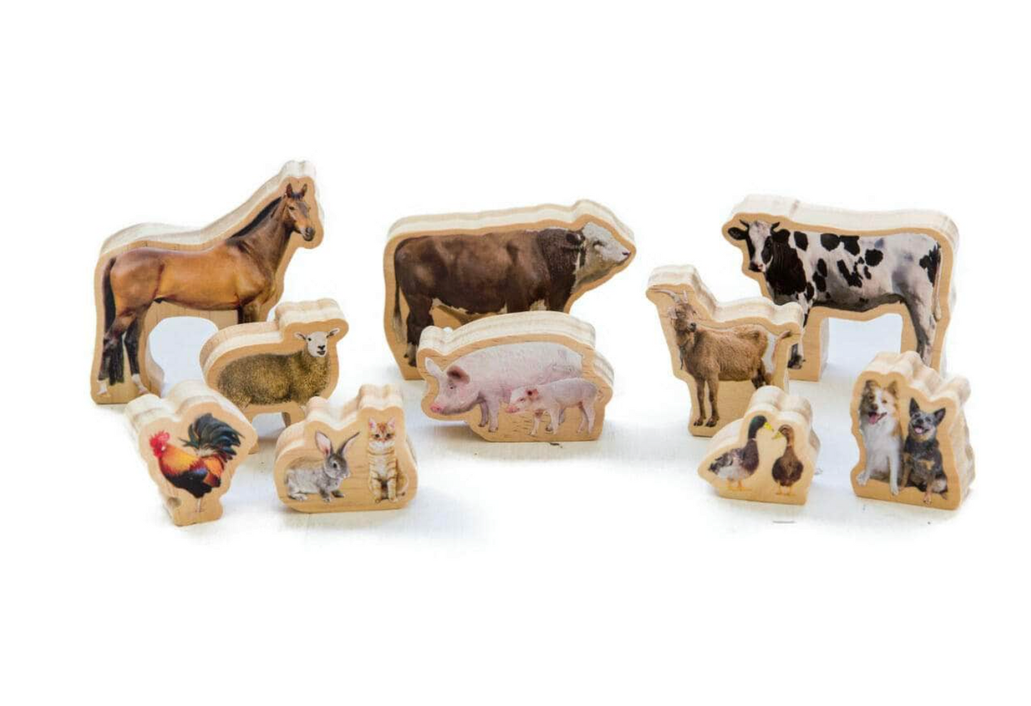 Freckled Frog Farm Animals