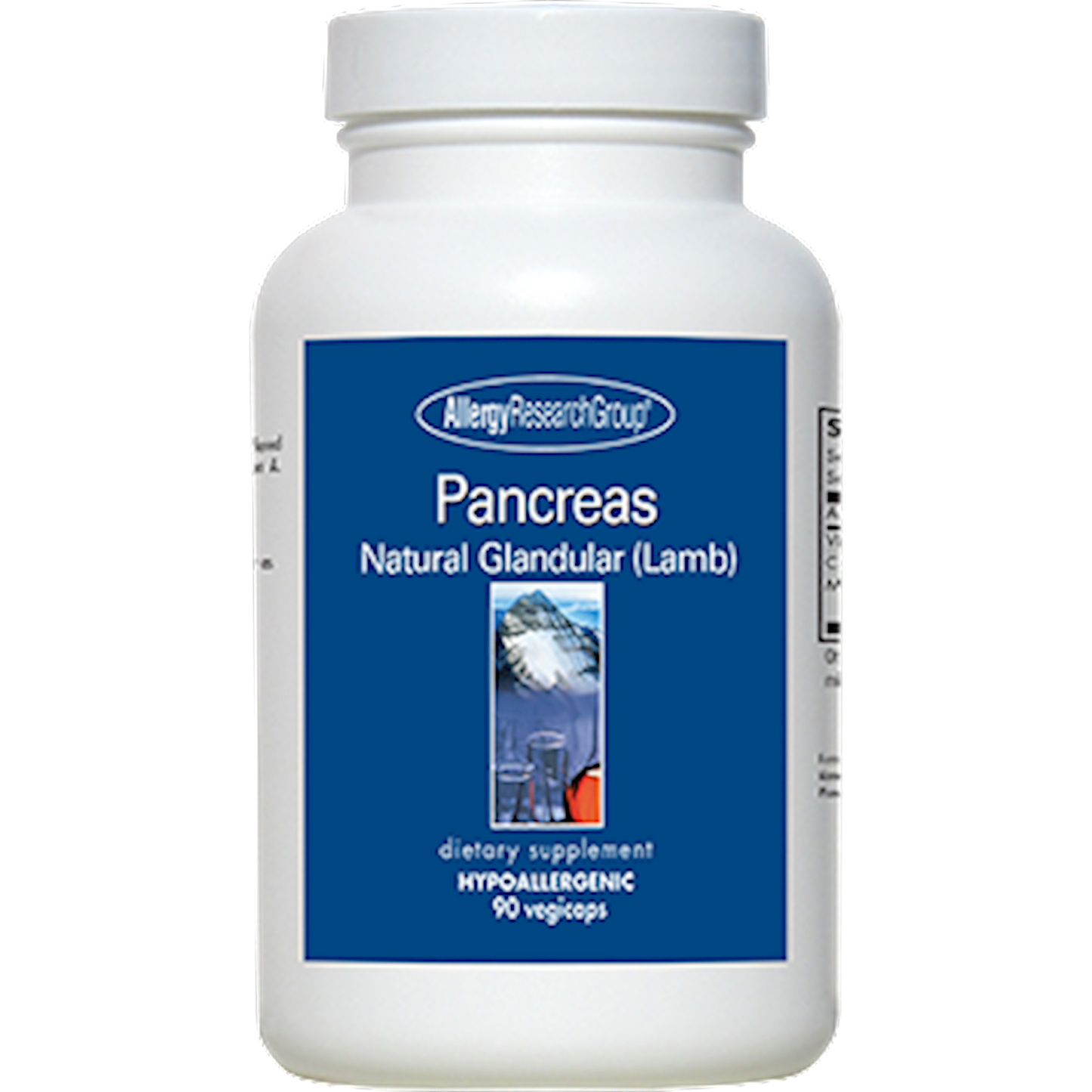 Pancreas Lamb
