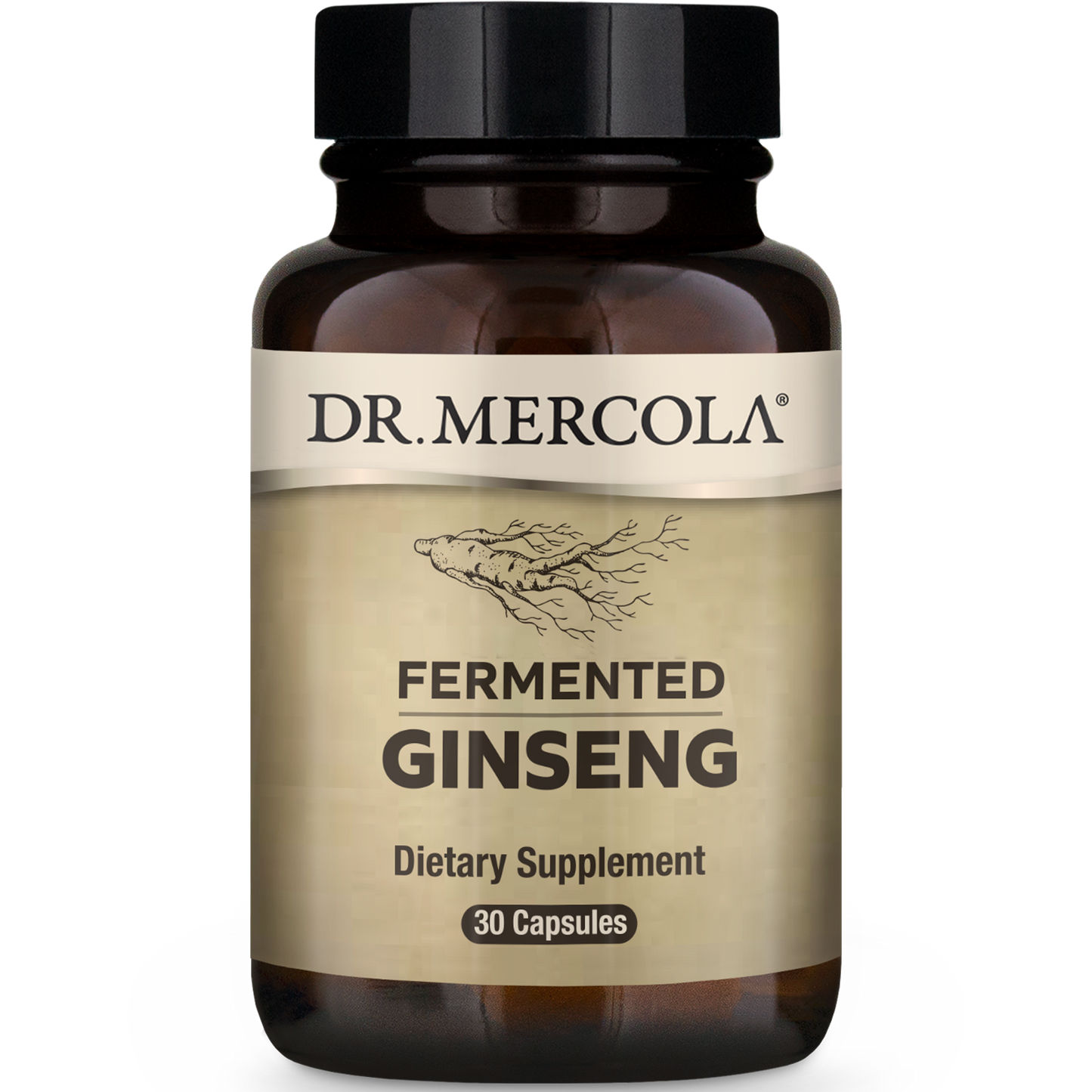 Fermented Ginseng