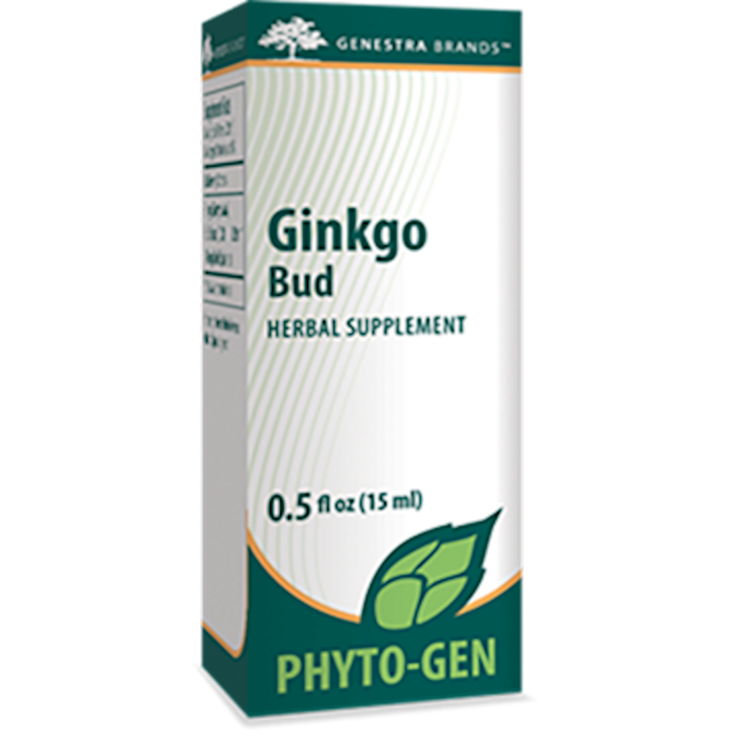 Ginkgo Bud